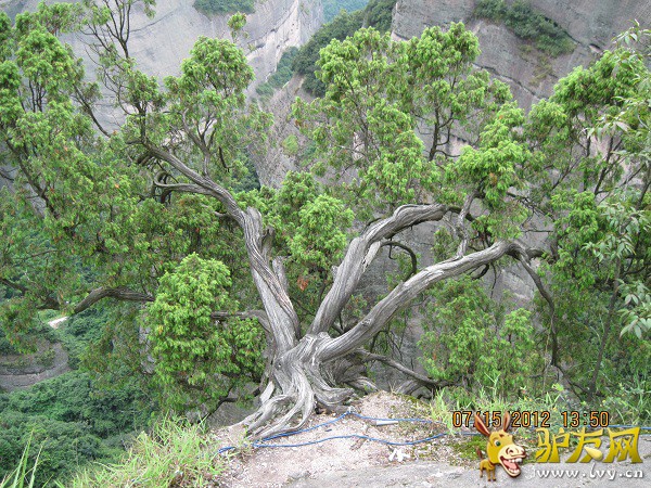 IMG_1861崀山3.jpg