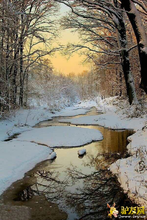 ���1.jpg